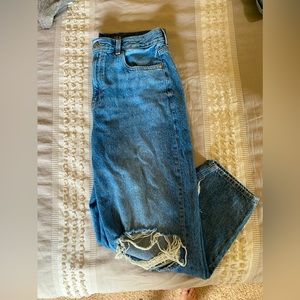 American Eagle Baggy Mom Jeans